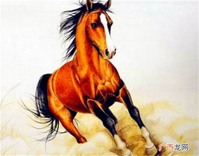 2023年经历辛苦，终将富裕的四个生肖，幸福前所未有升温
