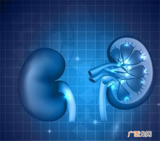 如何保护肾脏健康，避免尿毒症？医生总结6条经验，建议收藏