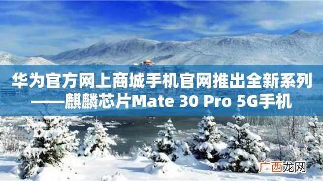 华为官方网上商城手机官网推出全新系列——麒麟芯片Mate 30 Pro 5G手机