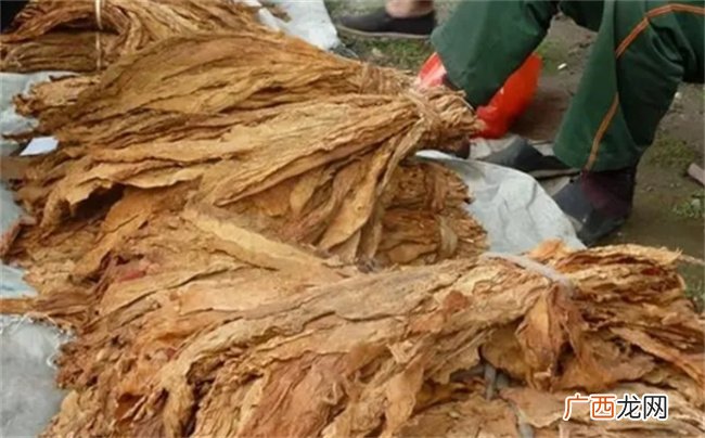 “长寿之王”龚来发：无家可归，活了133岁，有个不健康的嗜好！