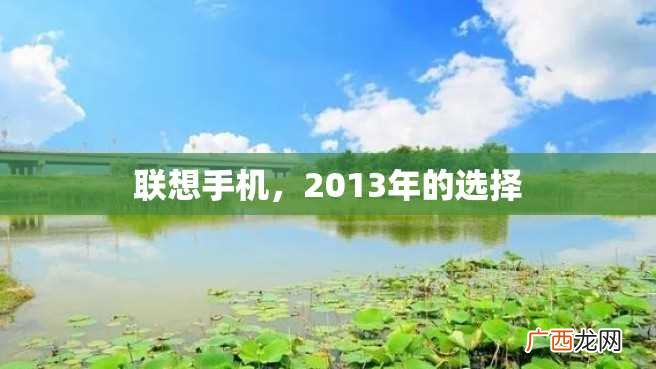 联想手机，2013年的选择