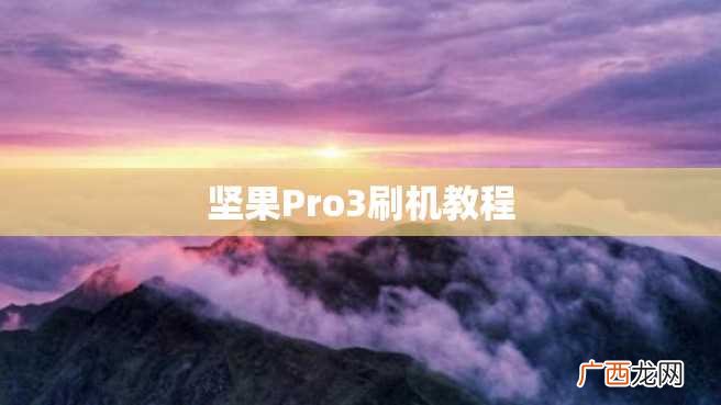 坚果Pro3刷机教程