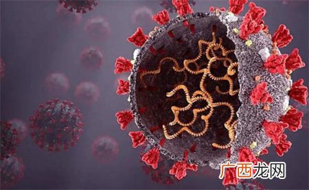 ?世卫：新冠病毒仍在致死和变异 该怎么预防？