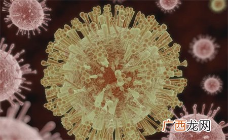 ?世卫：新冠病毒仍在致死和变异 该怎么预防？