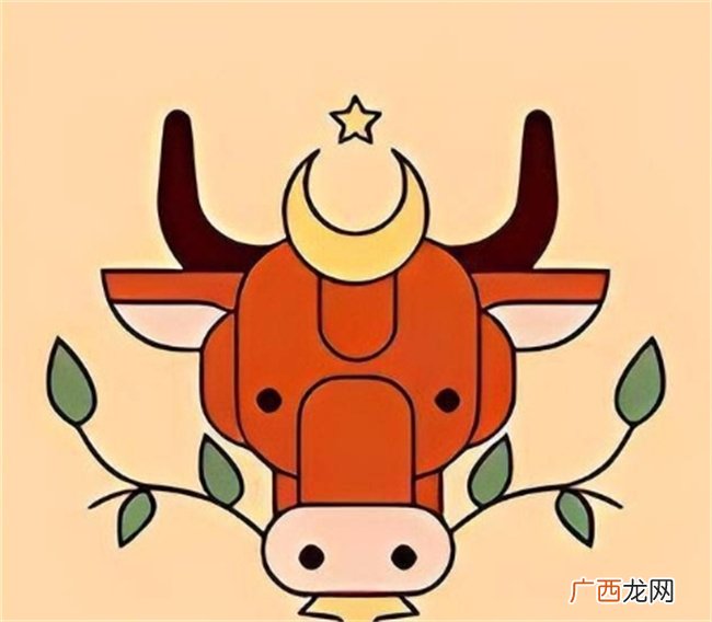 今年是艰难的，但会遇到贵人，本可以顺风顺水的生肖