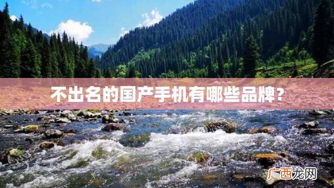 不出名的国产手机有哪些品牌？