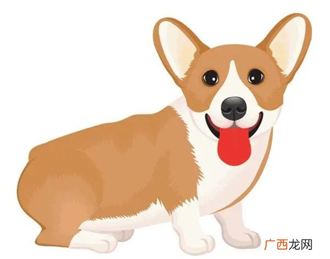 5·8~5·31运势上上签，横财大发，接福接运，富贵挡不住三生肖