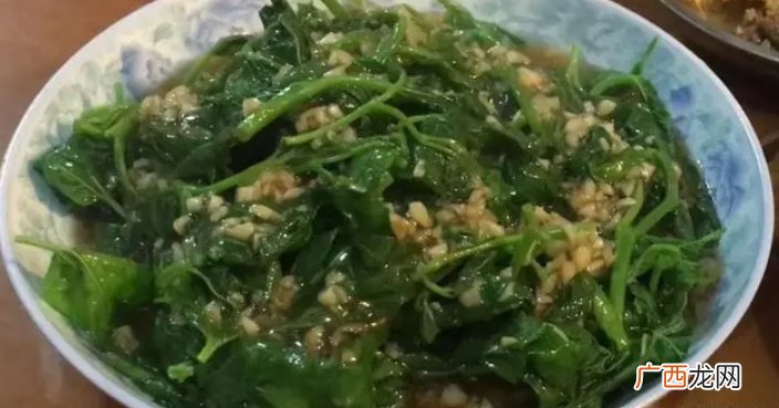 桑叶的几种新吃法,简单美味又下饭,学会了可以做给家人吃