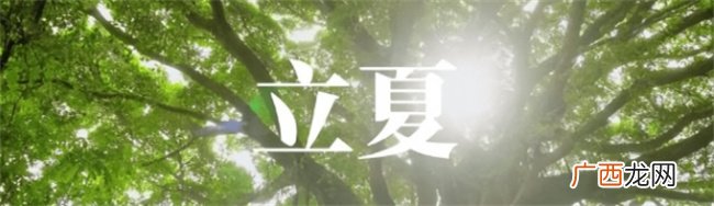 立夏节气：生肖虎5月6日-21日“木滞”运势仍在，切勿大动干戈！