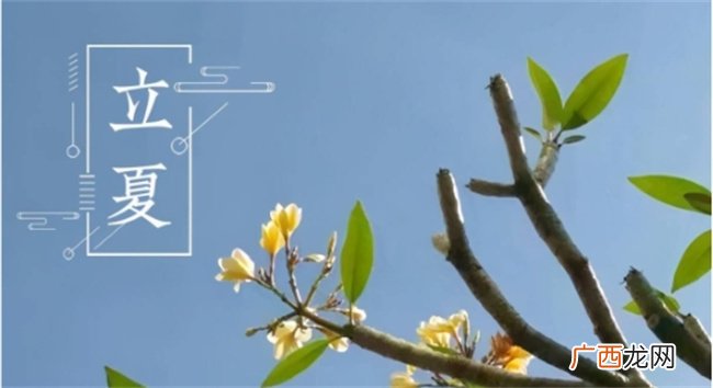 立夏节气：生肖虎5月6日-21日“木滞”运势仍在，切勿大动干戈！