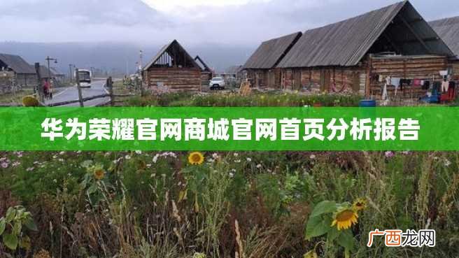 华为荣耀官网商城官网首页分析报告