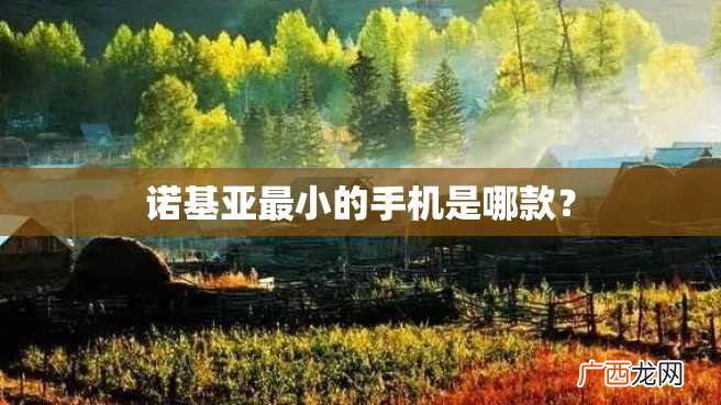 诺基亚最小的手机是哪款？