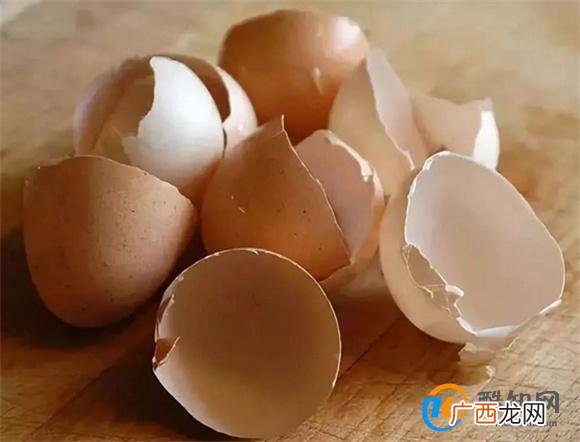 如何去除水壶里的水垢