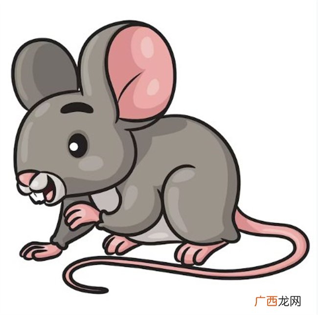 命运非常好的四生肖，美貌与才华集于一身，家庭和睦身体健康