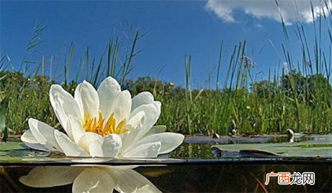 长命百岁的4大生肖，越老存款越多，晚年长寿又多福！