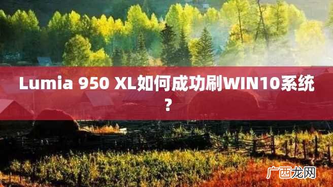 Lumia 950 XL如何成功刷WIN10系统？