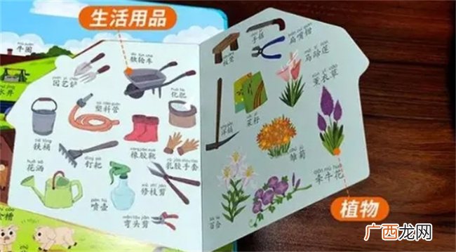 学龄前孩子有必要提前识字吗？听听过来人的经验，别走弯路了