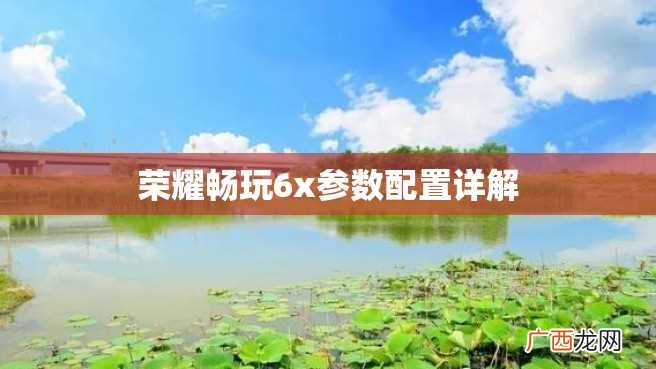 荣耀畅玩6x参数配置详解