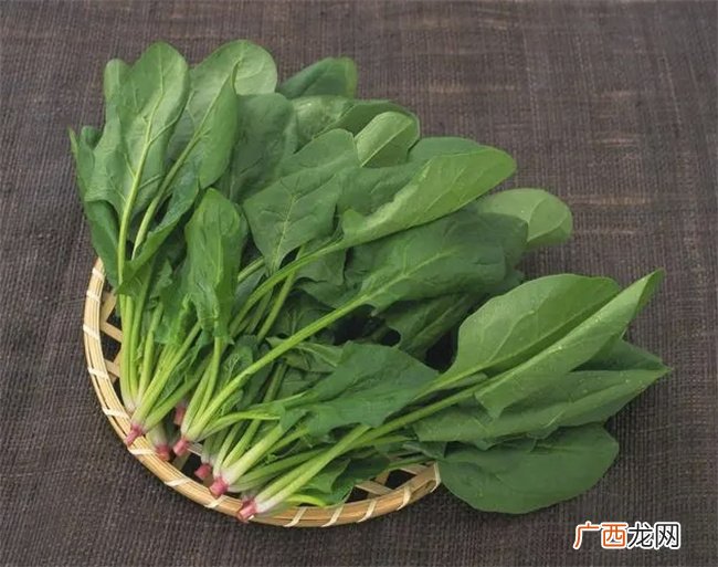 女人不想“老的快”，这10种养颜食物要常吃，肌肤水嫩显年轻