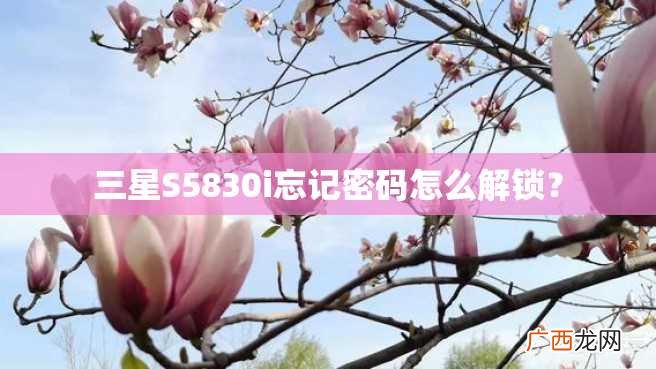 三星S5830i忘记密码怎么解锁？