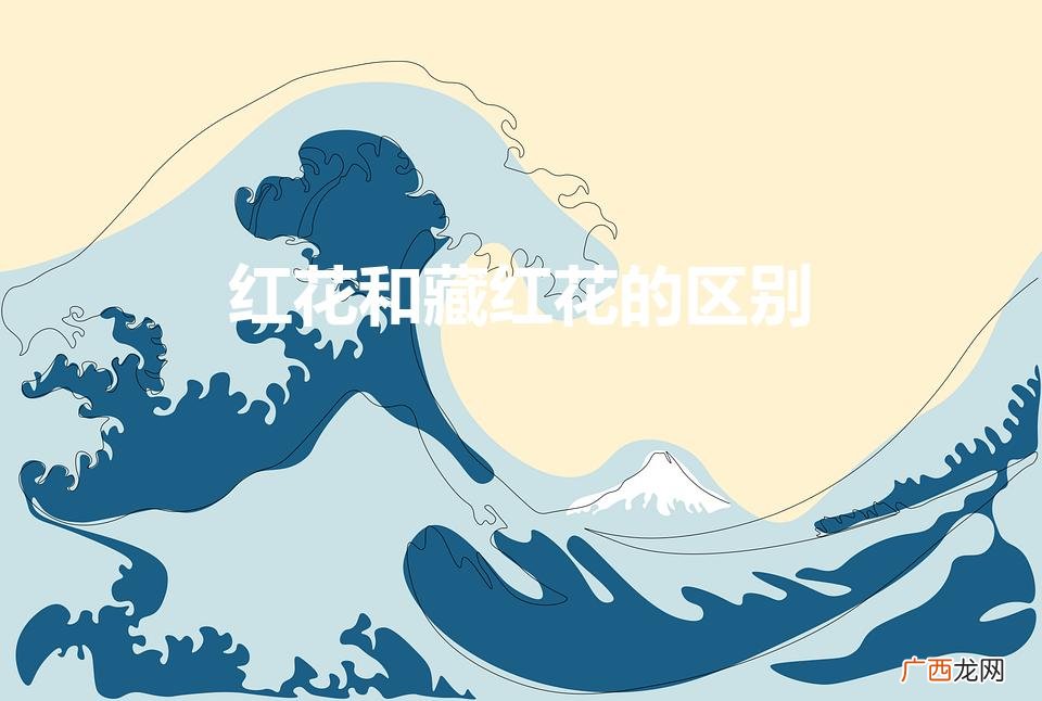 红花和藏红花的区别作用 红花和藏红花的区别