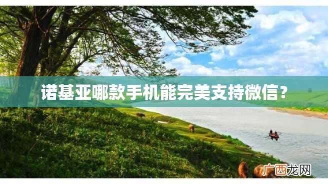 诺基亚哪款手机能完美支持微信？