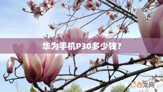 华为手机P30多少钱？