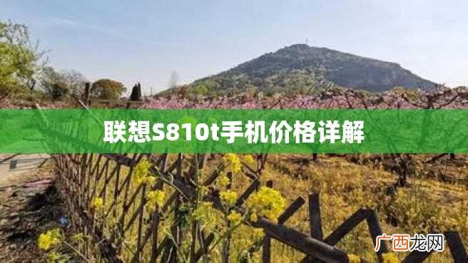 联想S810t手机价格详解