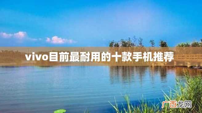 vivo目前最耐用的十款手机推荐