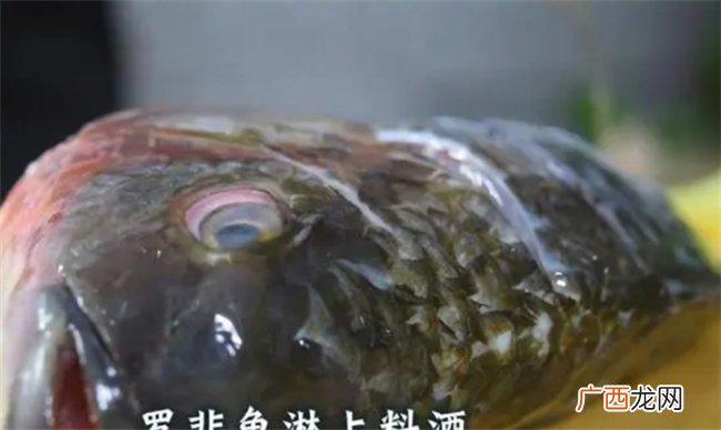 红烧鱼这样做最好吃，烹饪方法和技巧在这，普通人都能轻易学会