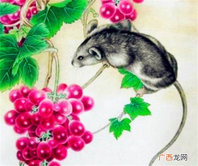 农历四月起，四生肖有福又有钱，生活有乐趣，天天欢声笑语