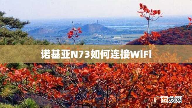诺基亚N73如何连接WiFi
