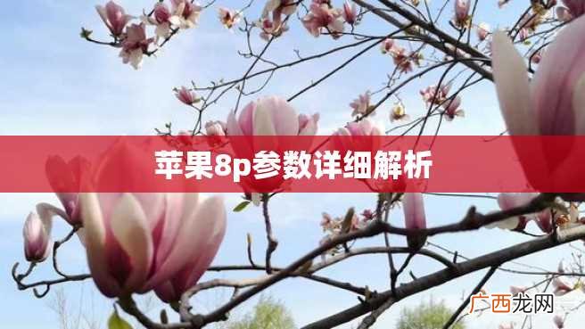 苹果8p参数详细解析