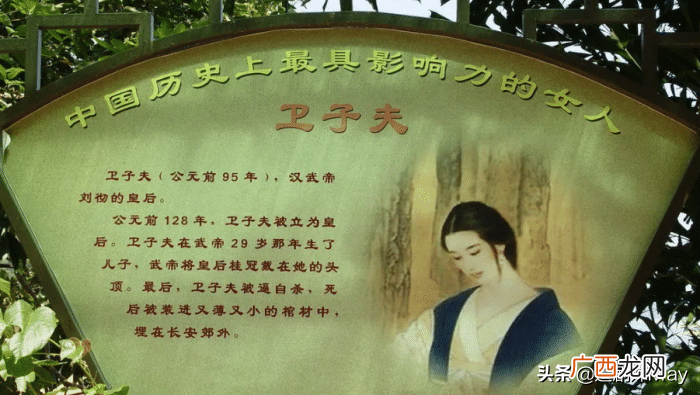 卫青 卫子夫历史真实介绍