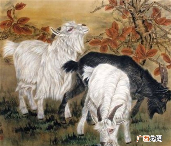 七月飞来一群喜鹊叫！3生肖靠山在前、喜事在后！