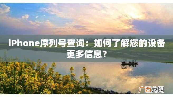 iPhone序列号查询：如何了解您的设备更多信息？