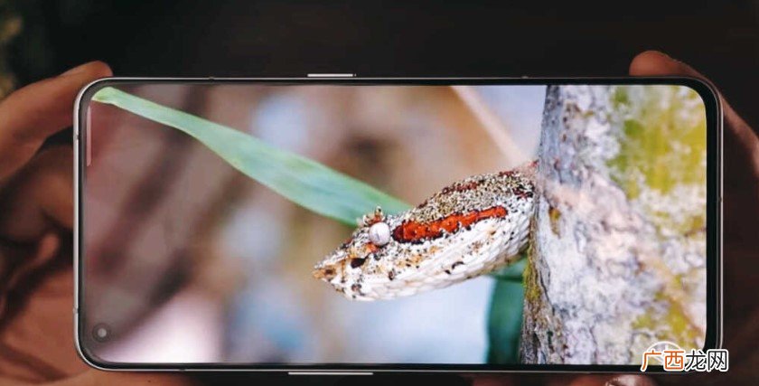 rmx3310是什么型号手机