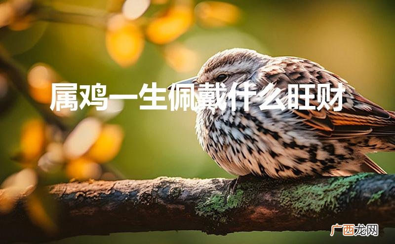 1981年属鸡一生佩戴什么旺财 属鸡一生佩戴什么旺财
