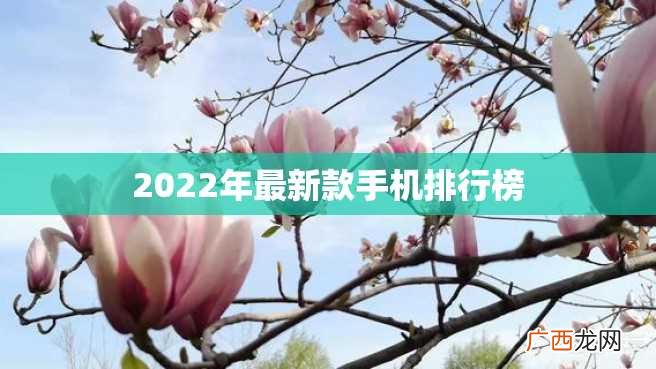 2022年最新款手机排行榜