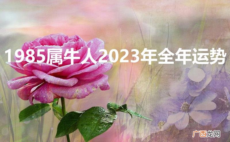 1985属牛人2023年全年运势详解免费 1985属牛人2023年全年运势