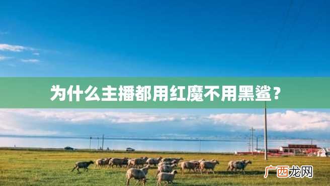 为什么主播都用红魔不用黑鲨？