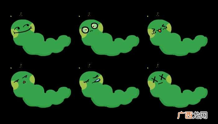 梦见吸血虫
