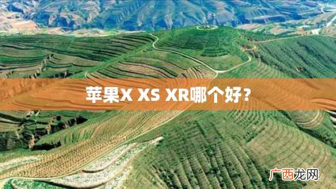 苹果X XS XR哪个好?