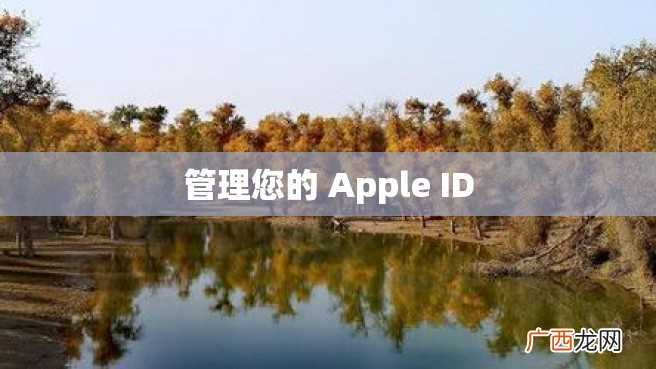 管理您的 Apple ID