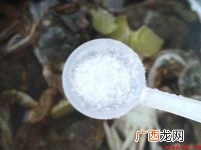 煮螃蟹怎么吃