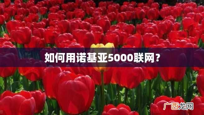 如何用诺基亚5000联网？