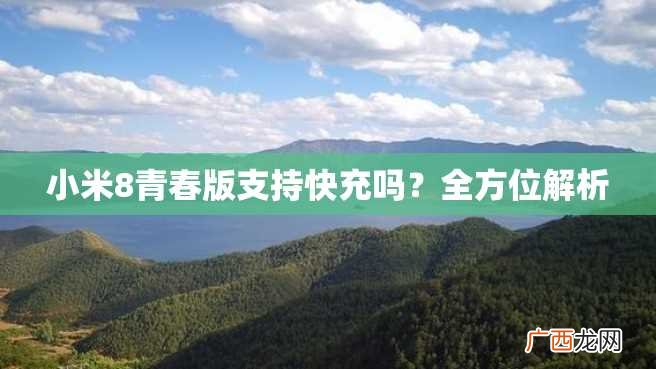 小米8青春版支持快充吗？全方位解析