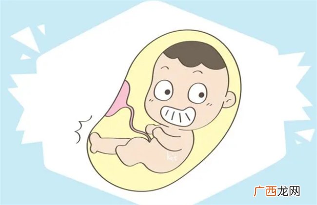 孕期这些情况 如果出现其中一种 都说明孩子高智商