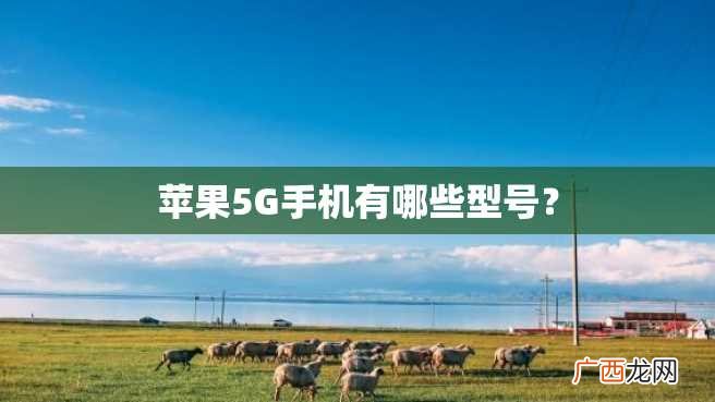 苹果5G手机有哪些型号？
