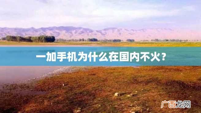 一加手机为什么在国内不火？
